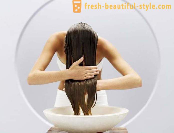 Effektiv schampo för fett hår: omdömen, typer och tillverkare