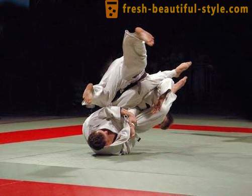 Japanska typer av kampsporter: beskrivningen, egenskaper och intressanta fakta