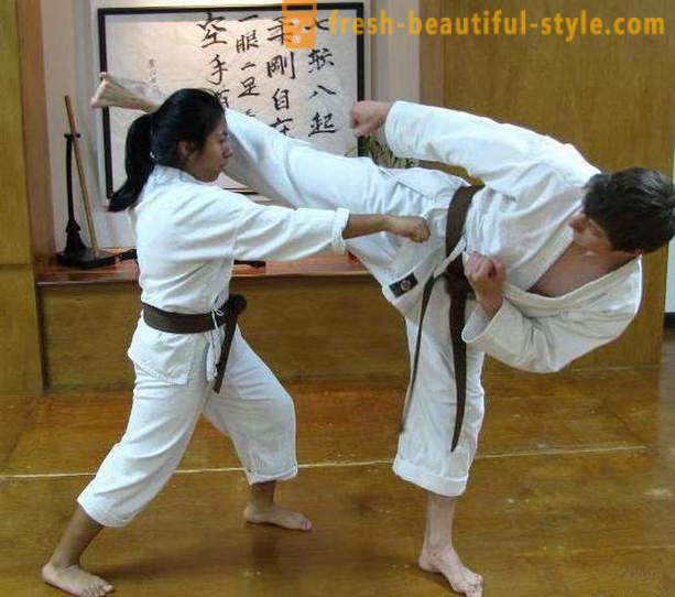 Japanska typer av kampsporter: beskrivningen, egenskaper och intressanta fakta
