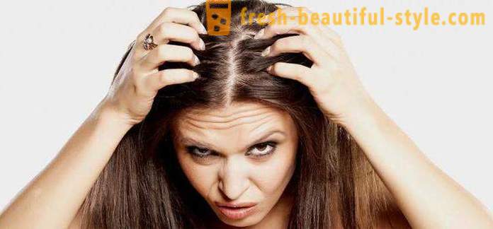 Varför snabbt zhirneyut hår? Möjliga orsaker, funktioner och metoder för behandling av