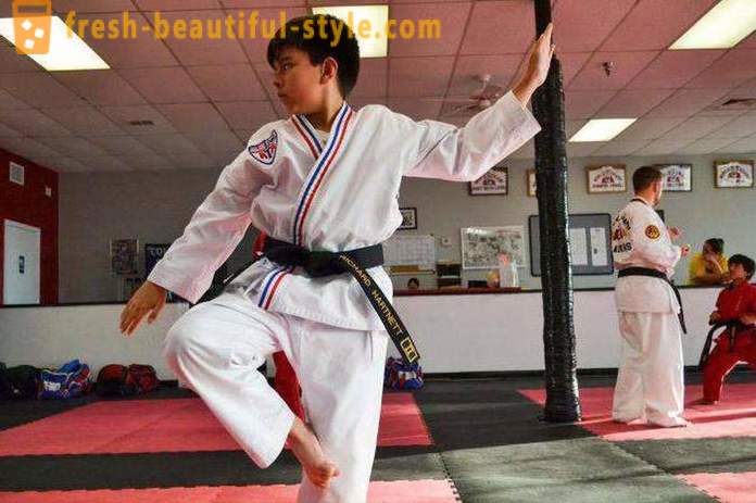 Vad är Taekwondo? Beskrivning och regler kampsport
