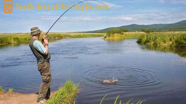Fritt fiske i en förort - var att gå? Fria dammar i Moskva