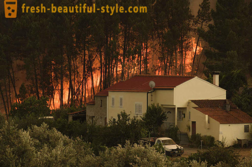 Hur att släcka bränder i Portugal
