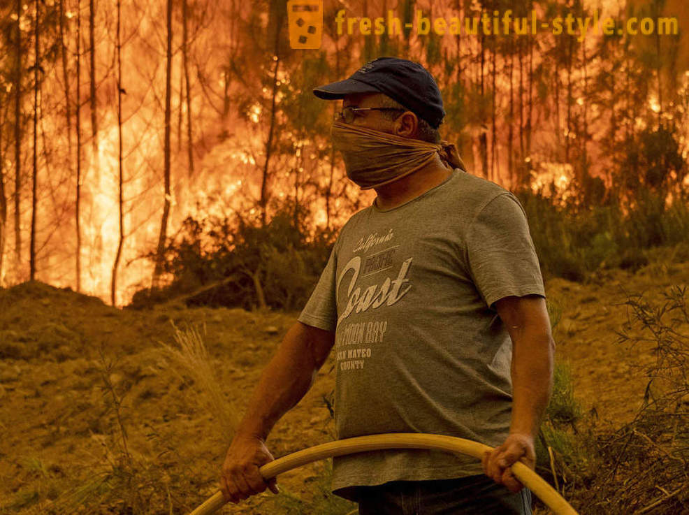 Hur att släcka bränder i Portugal