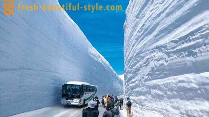 Fantastisk snö korridor i Japan