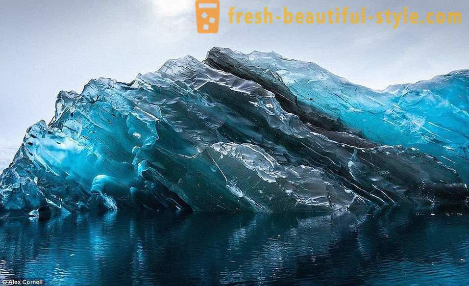 Camye världens gamla isberg