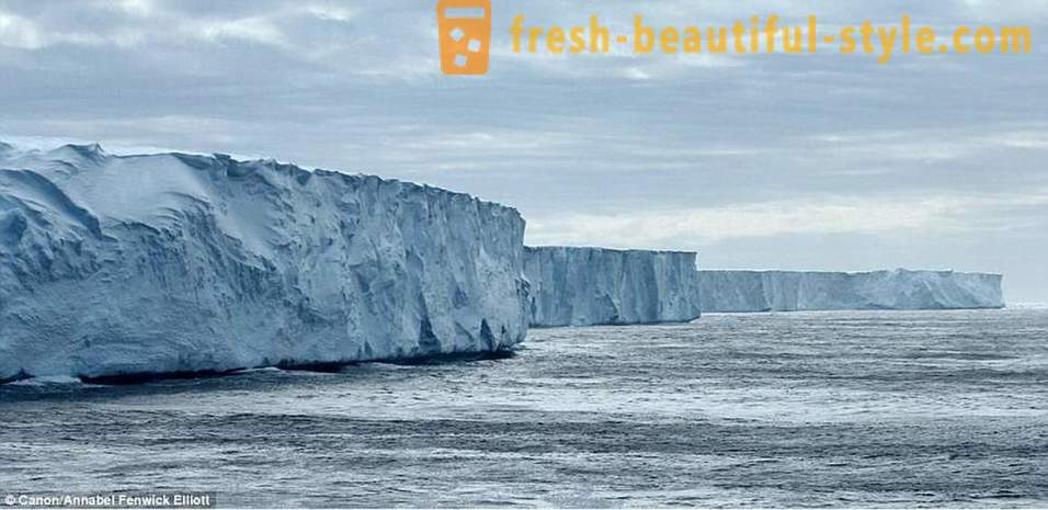 Camye världens gamla isberg