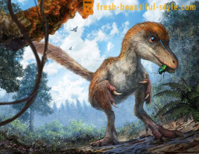 Unika fynd i samband med dinosaurier