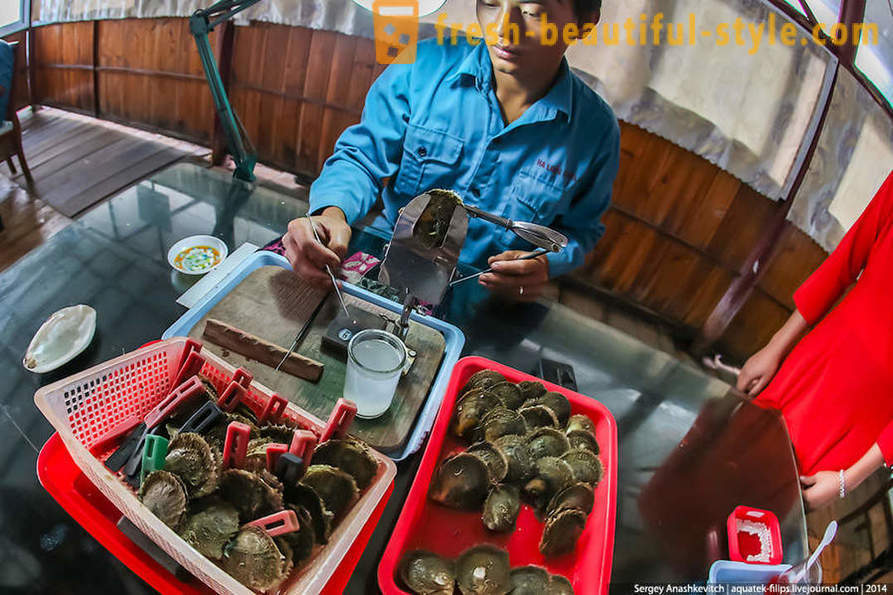 Liksom i Vietnam extrakt pärlor