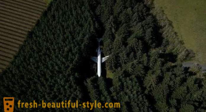Amerikan, 15 år bor i ett flygplan mitt i skogen