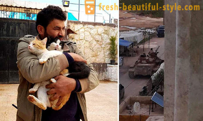 Mannen kvar i det krigshärjade Aleppo att ta hand om övergivna djur