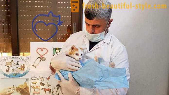 Mannen kvar i det krigshärjade Aleppo att ta hand om övergivna djur