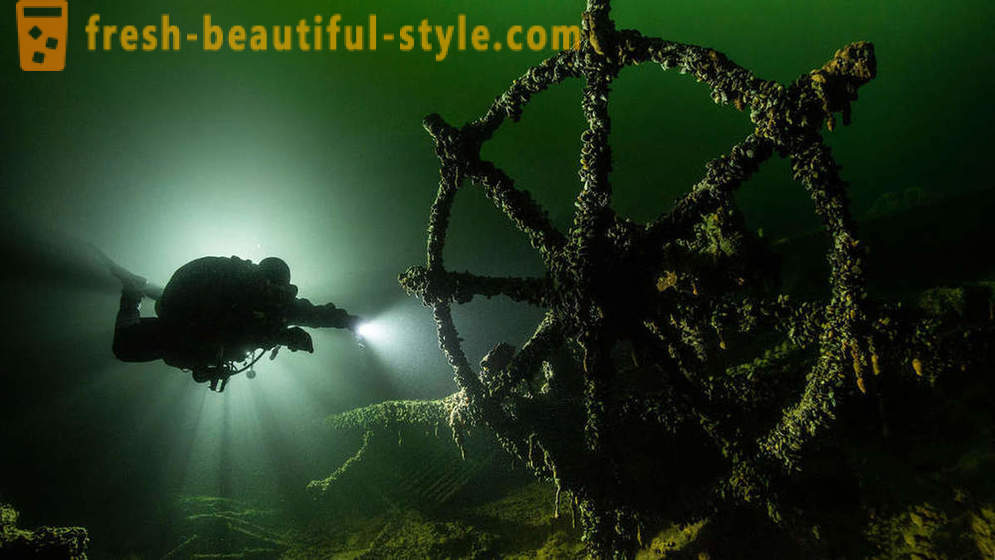 Incredible bilder av undervattensfotografering vinnare tävling