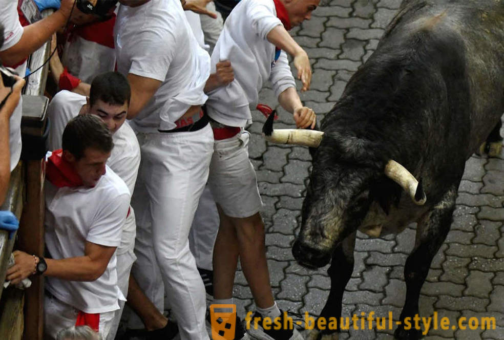 Hur var den årliga driften av tjurar i Pamplona, ​​Spanien