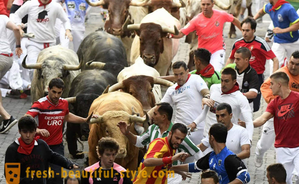 Hur var den årliga driften av tjurar i Pamplona, ​​Spanien