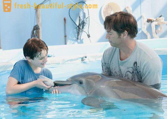 Ett urval av filmer om delfiner