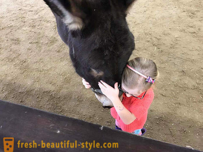 Animal terapi: en stum flicka började tala genom en åsna