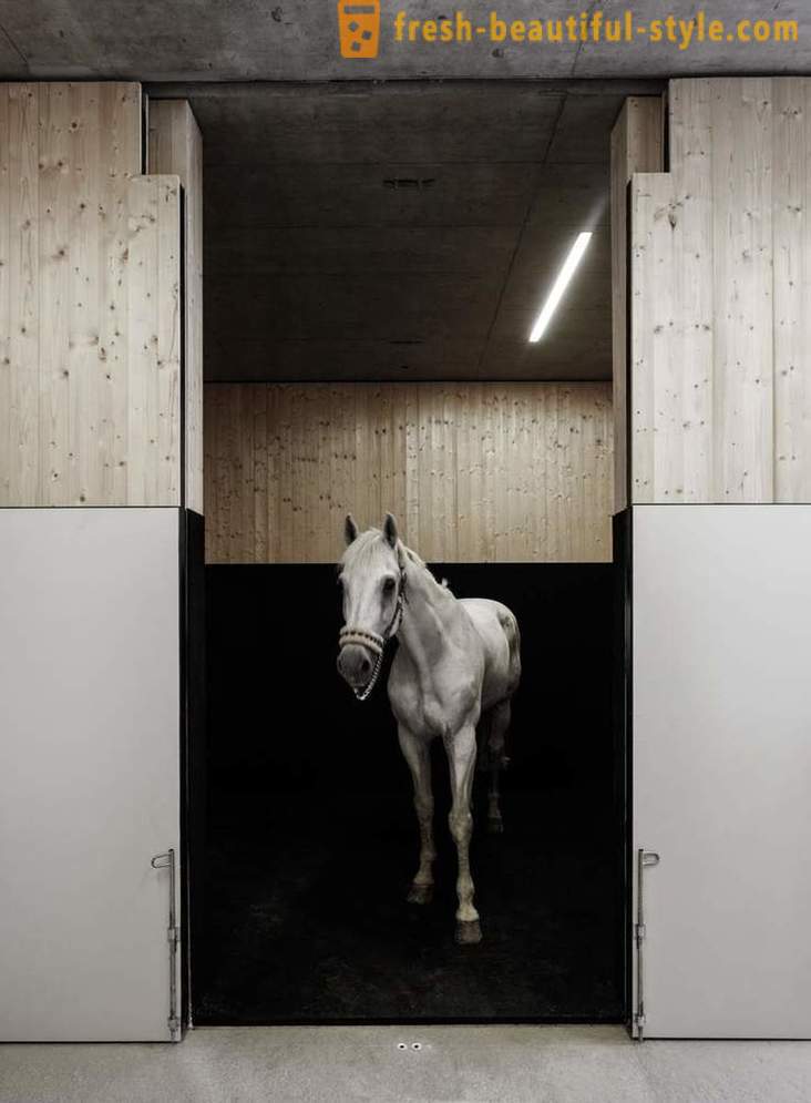 Utformning av veterinärklinik för hästar i Österrike