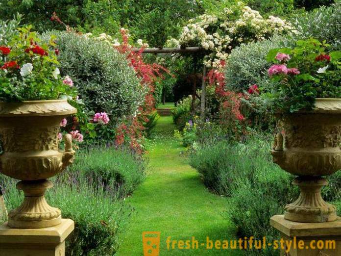 Bright landskapsplanering: 18 originella idéer för registrering av en trädgård plats