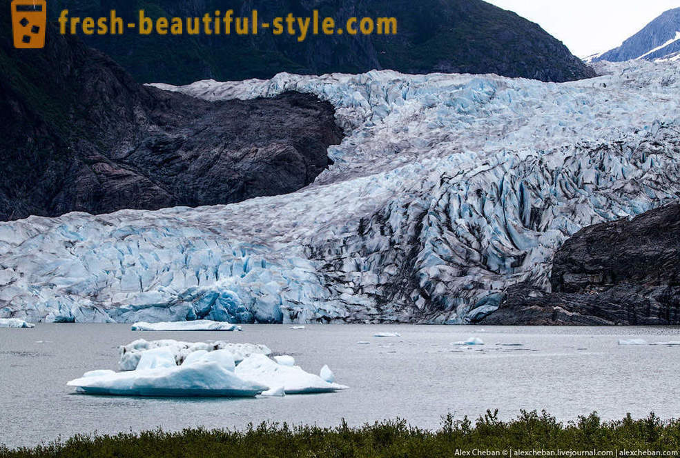 Glaciärer i Alaska
