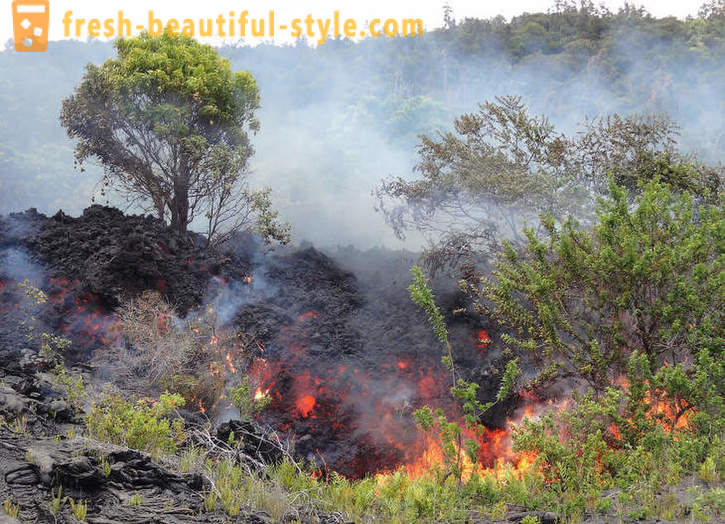 Vulkaniska lavaflöden från Kilauea Hawaii