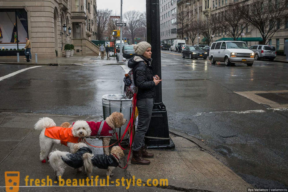 New York: Det konstiga mode, dåliga vägar och hotellet i framtiden
