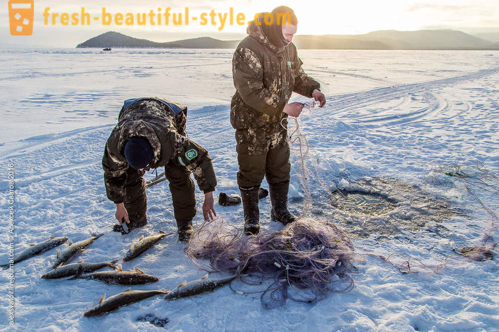 Hur rybinspektory på Baikal