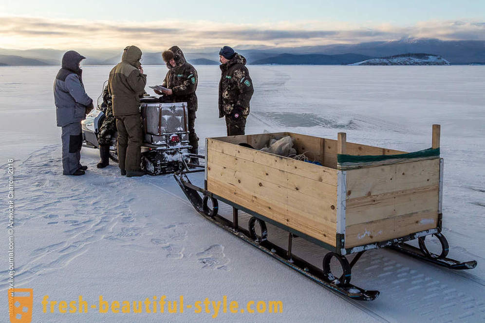Hur rybinspektory på Baikal