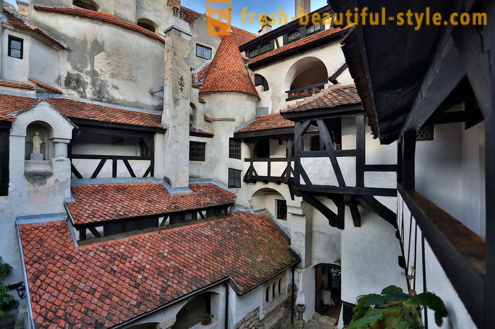 Castle Dracula: Transsylvanien visitkort