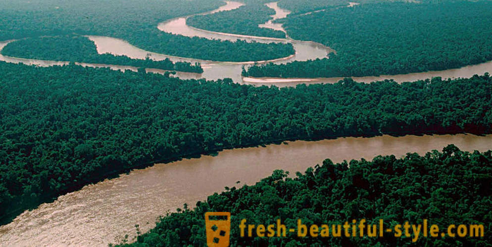 Amazon - naturliga underverk i världen
