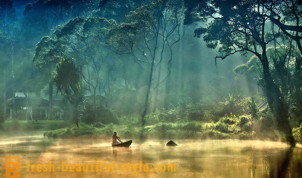 Amazon - naturliga underverk i världen