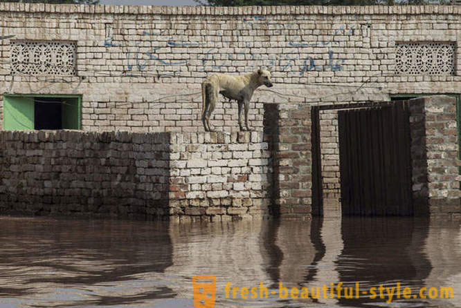 Historisk översvämningar i Indien och Pakistan