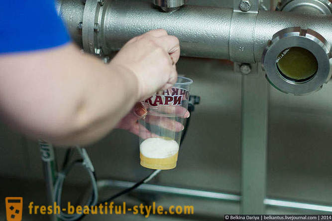 Hur man gör öl i Altai territoriet