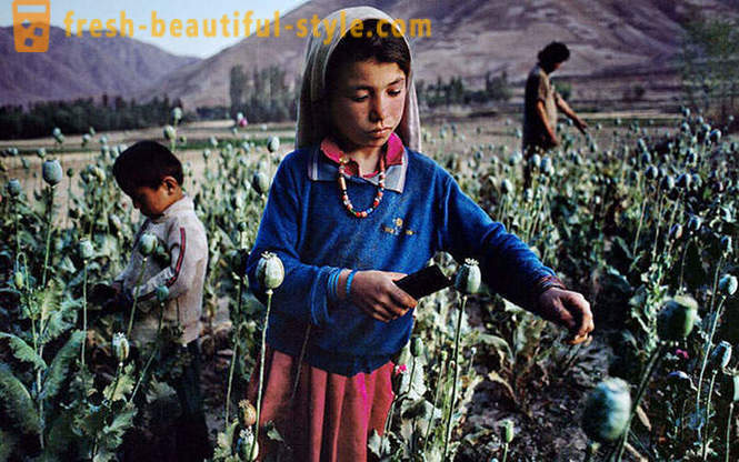 Afghanistan genom linsen av Steve Mc Curry