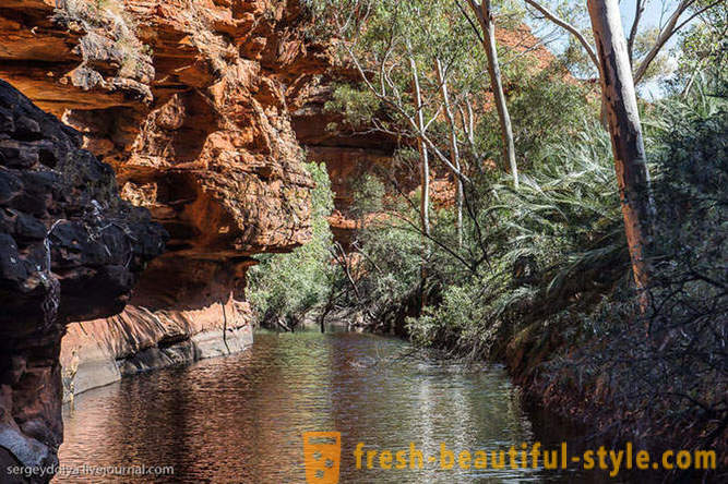 Gå igenom Kings Canyon i Australien