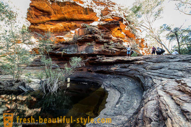 Gå igenom Kings Canyon i Australien