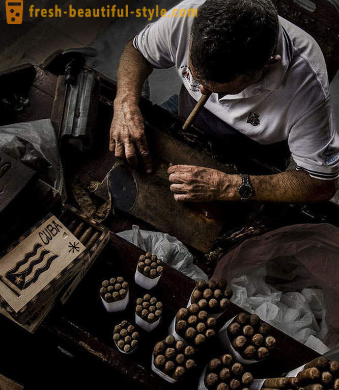 Processen att skapa det bästa av kubanska cigarrer