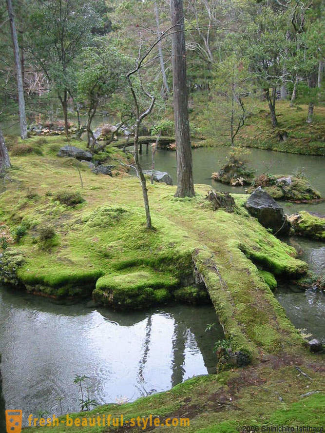 Moss trädgård i Japan