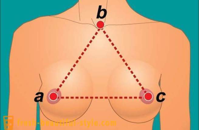 Guide till den kvinnliga bröst