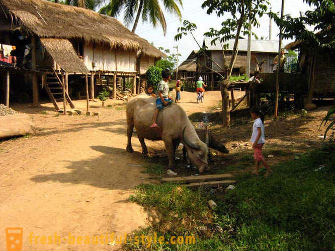 GeoFresher - Hur man lever i Laos