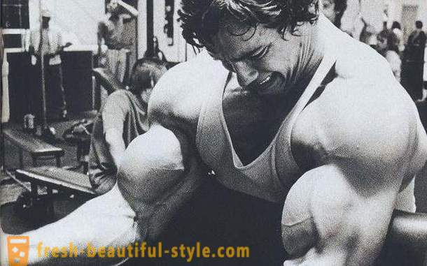 Workout biceps. Utbildningsprogrammet för biceps
