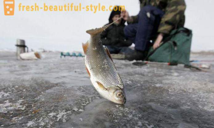 Fiske i Khanty-Mansiysk. Flod Khanty-Mansiysk