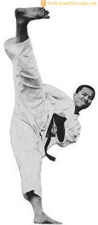Karate: tekniker och deras namn