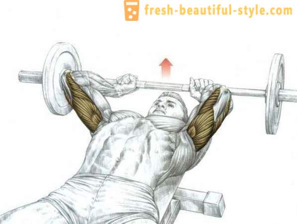 De bästa motion triceps i gymmet