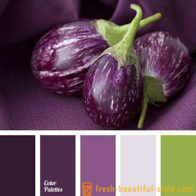 Färgen på aubergine i kläder: Vad att kombinera?