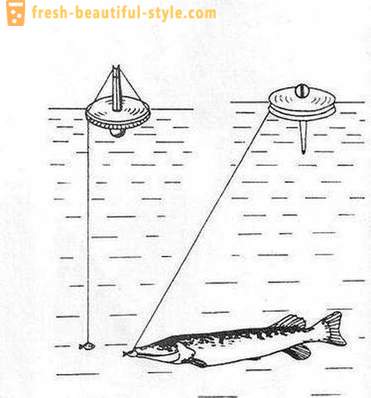 Fånga gädda cirkel: Funktionerna i metoden. Gäddfiske på cirklarna på floden, på sjön