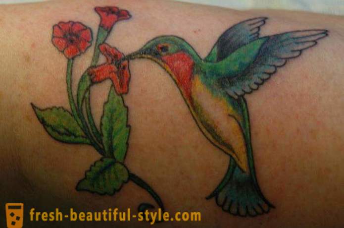Hummingbird tatuering - en symbol för livskraft och energi