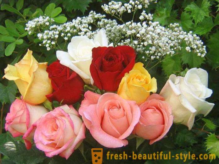 Bukett av vackra rosor i en gåva
