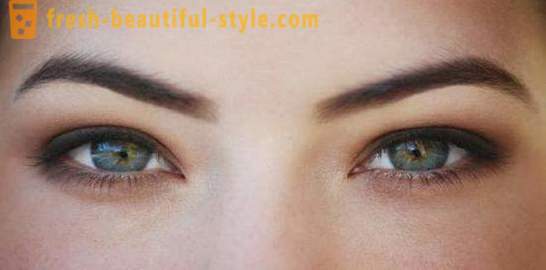 Formen på ögonbrynen på typsnitt. Hur man väljer formen på ögonbrynen?
