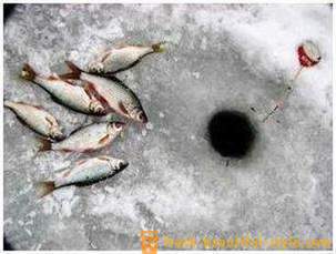 Mört fiske på vintern. Tacklar för att fånga mört vinter